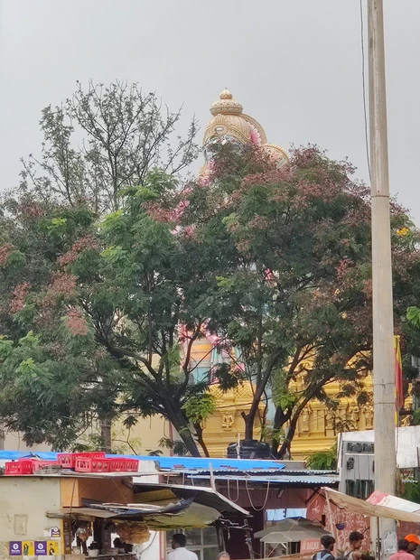Best time to visit Bengaluru