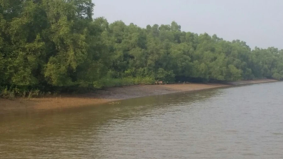 Bhitarkanika photo 3 in Bhitarkanika