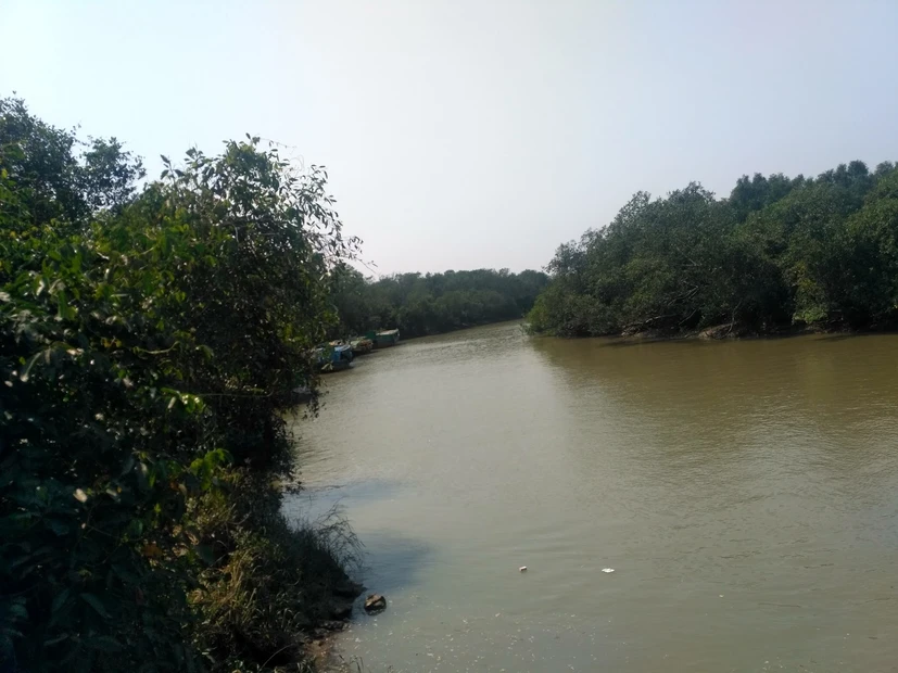 Bhitarkanika photo 4 in Bhitarkanika