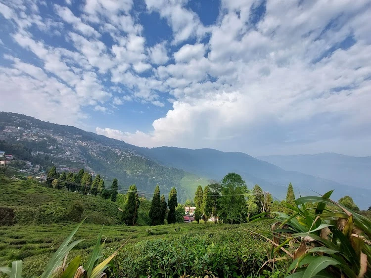 Darjeeling photo 3 in Darjeeling