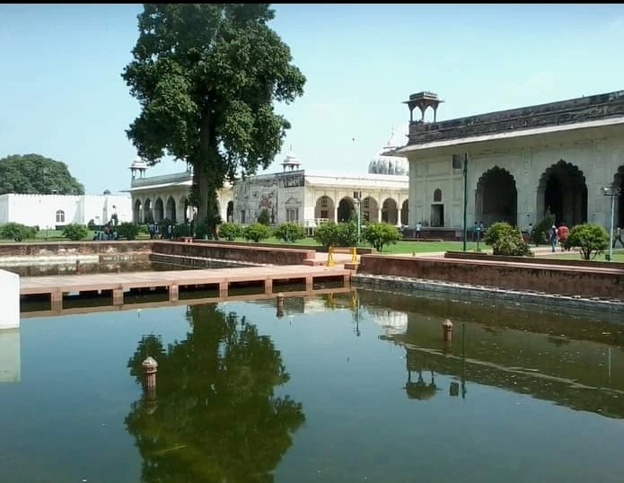 Delhi photo 4 in Delhi