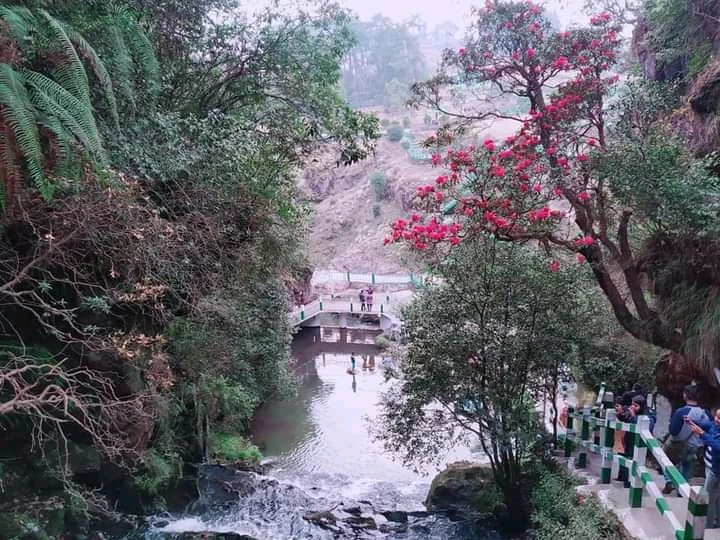 Ultimate Gangtok Pelling Darjeeling Explorer Tour Package 2026 tour package by JoyVacanza