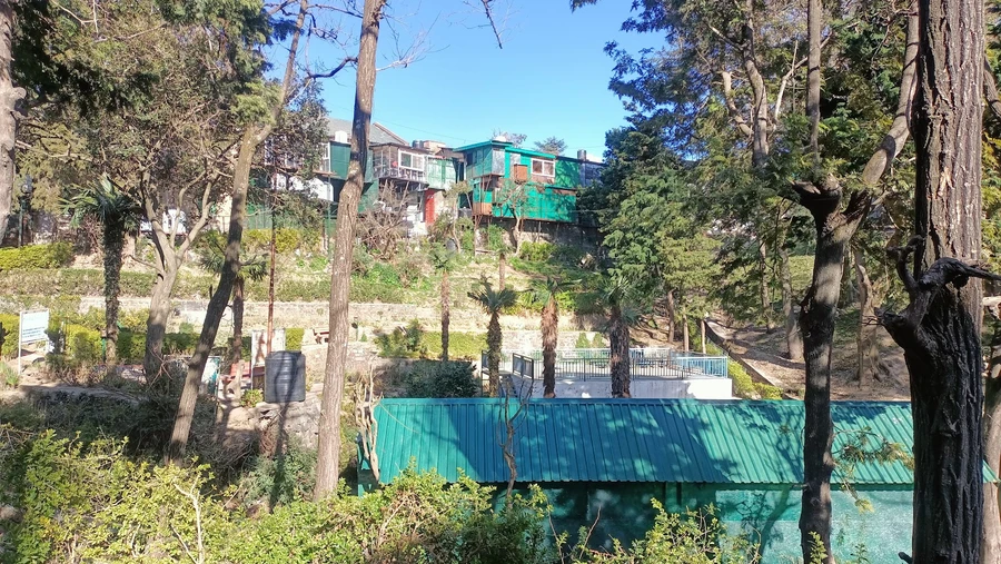Kasauli photo 5 in Kasauli
