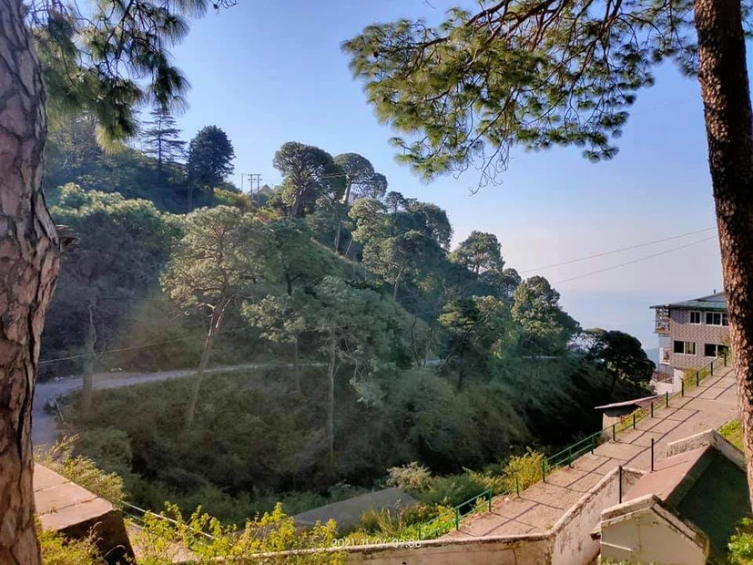 Kasauli photo 6 in Kasauli