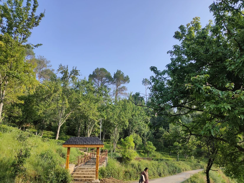 Kausani photo 4 in Himalayan Vista Kumaon Journey 2026 gallery image 3