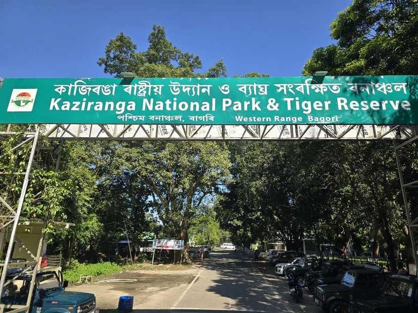 Kaziranga National Park photo 4 in Kaziranga National Park