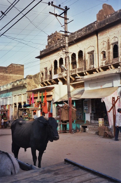 Mandawa photo 3 in Mandawa