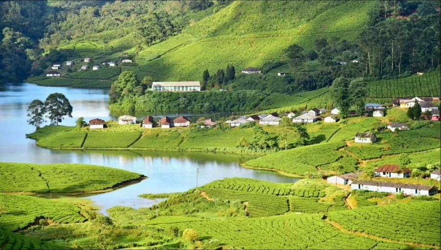 Munnar photo 4 in Munnar