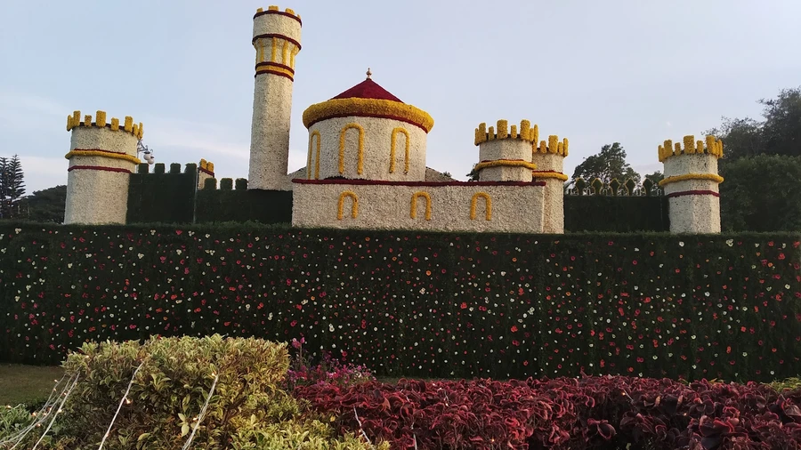 Mysuru photo 3 in Mysuru