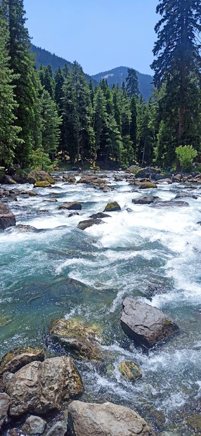 Pahalgam photo 5 in Pahalgam