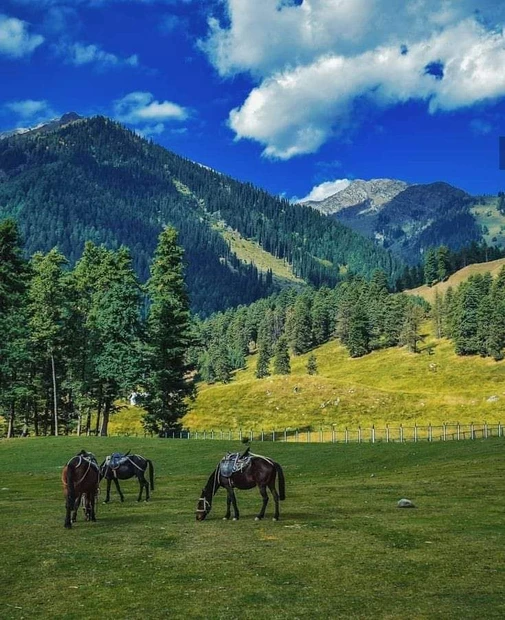 Pahalgam photo 6 in Pahalgam
