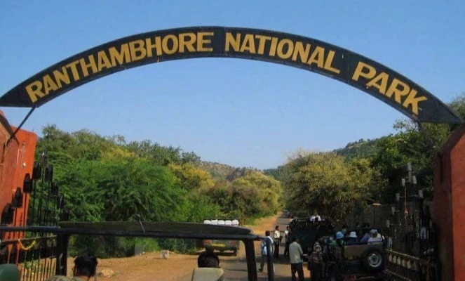 Ranthambore National Park photo 6 in Ranthambore National Park