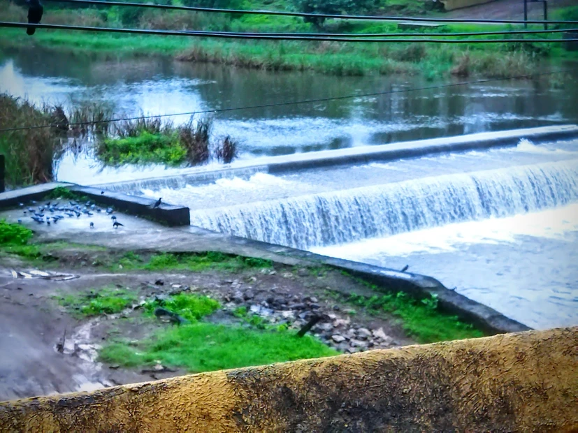 Sasan Gir photo 4 in Sasan Gir