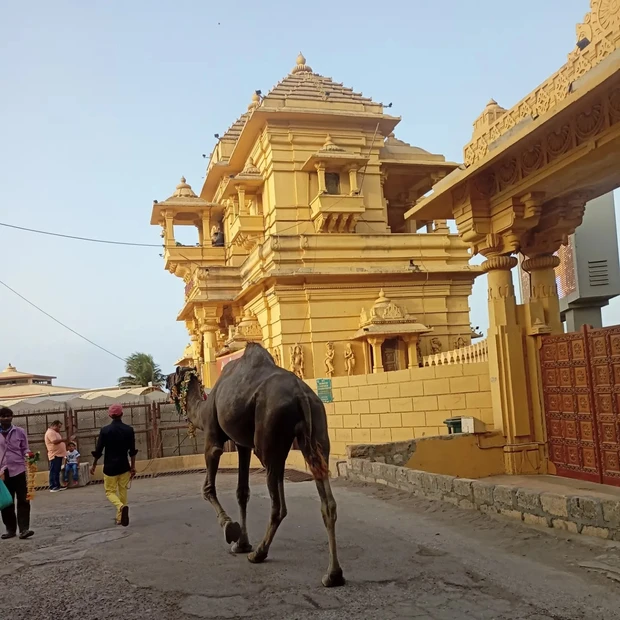 Somnath photo 4 in Somnath