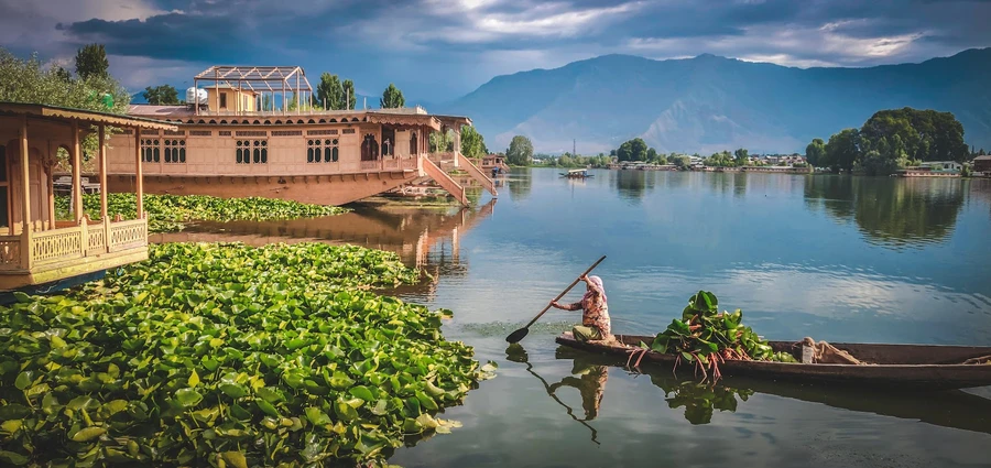Srinagar photo 3 in Srinagar