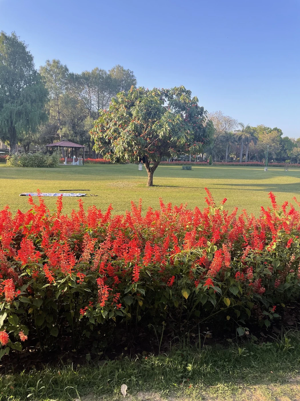 Private taxi packages covering Chandigarh