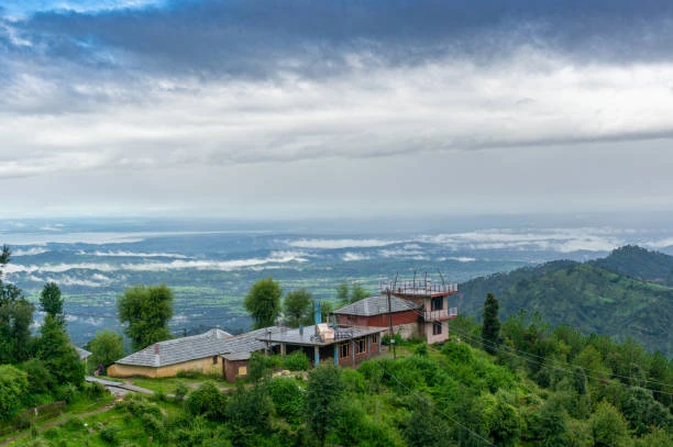 Darjeeling tea gardens in Darjeeling for route-specific taxi planning