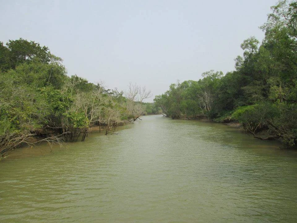Bhitarkanika tourism guide