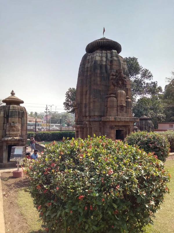 Bhubaneswar yatra guide