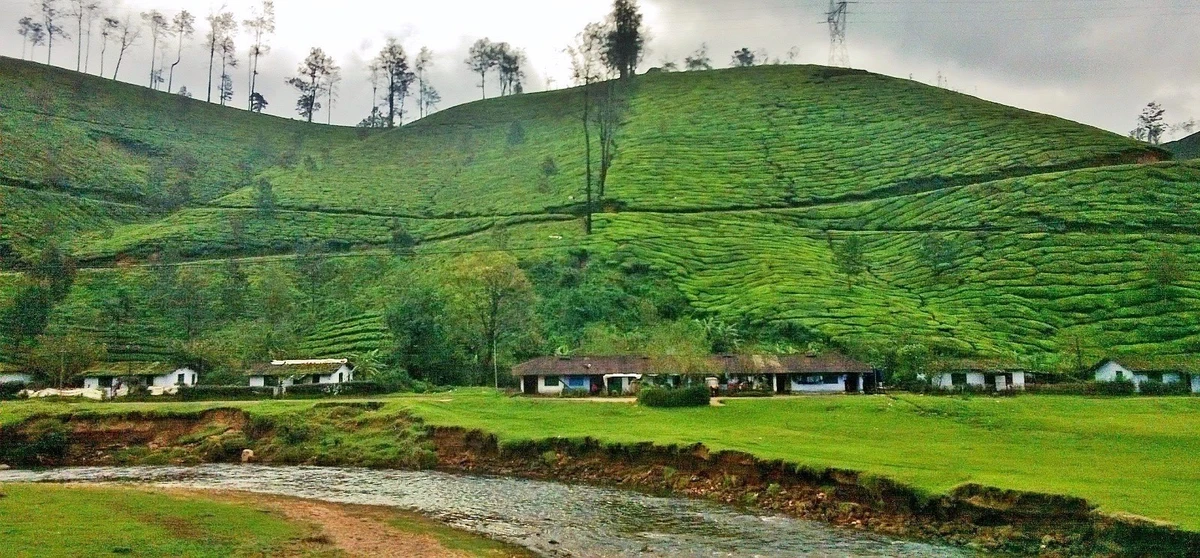 Munnar tourism guide