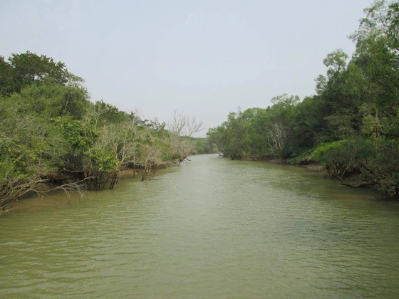 Bhitarkanika tourism
