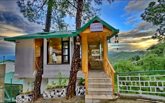 Kasauli Exotica, Road, Kasauli, Himachal Pradesh, India in Kasauli