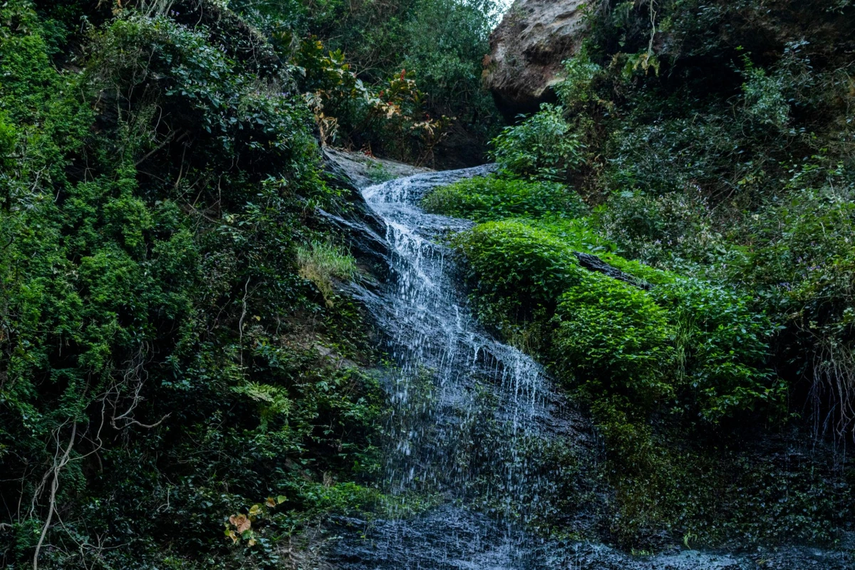 Chadwick Waterfall2 in Shimla Manali Tour Package with Kufri, Solang Valley & Atal Tunnel gallery image 2