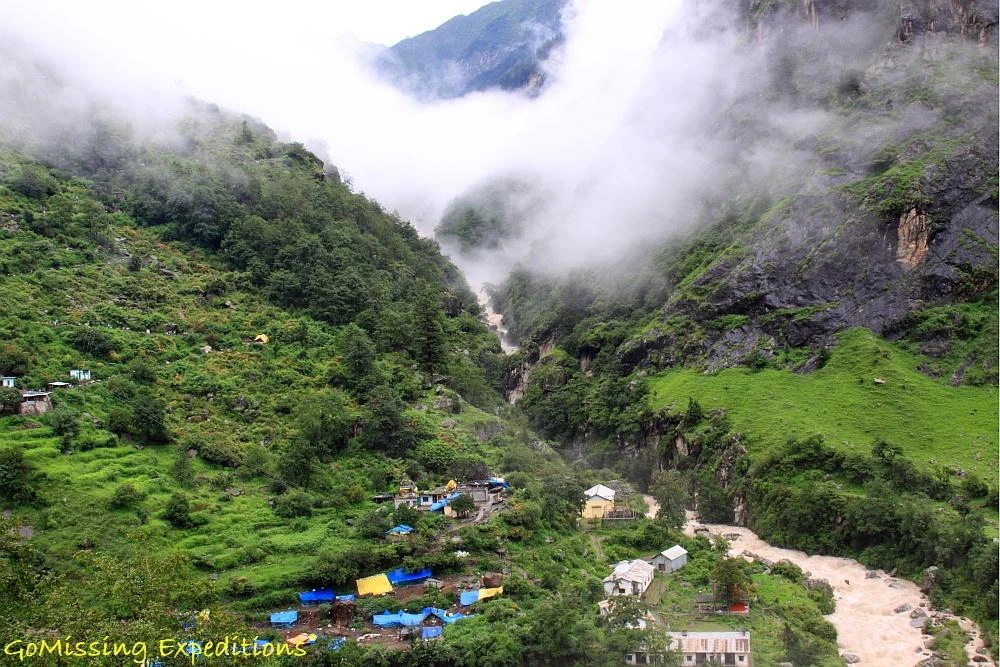 Valley of Flowers in Ghangaria
