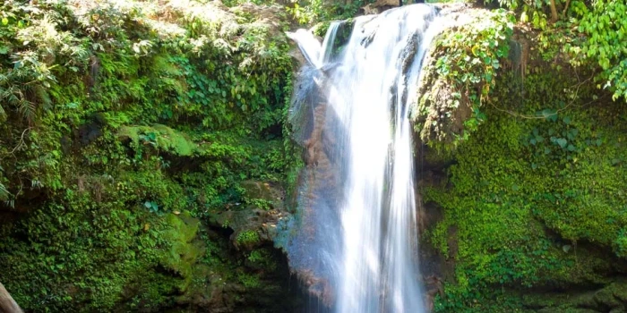 manali tour 08 night tour package gallery image 2