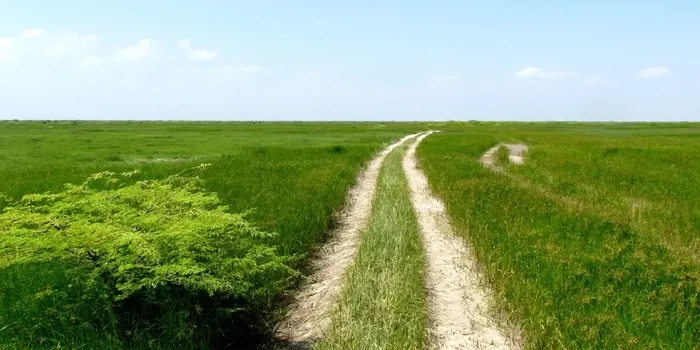 Banni Grasslands Reserve Bhuj tourist attraction