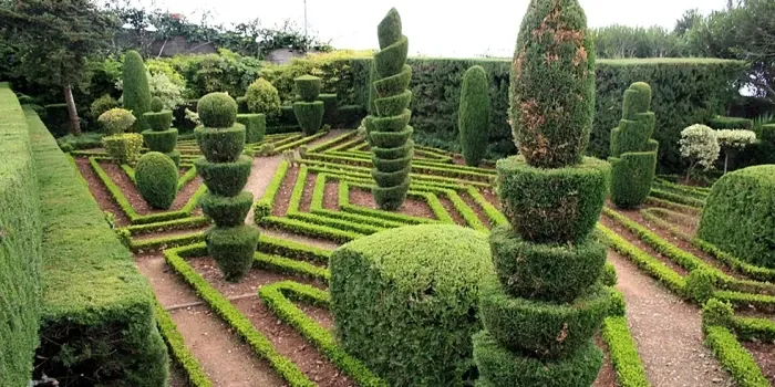 Chandigarh Botanical Garden Sarangpur sightseeing included in Himachal Show Trip