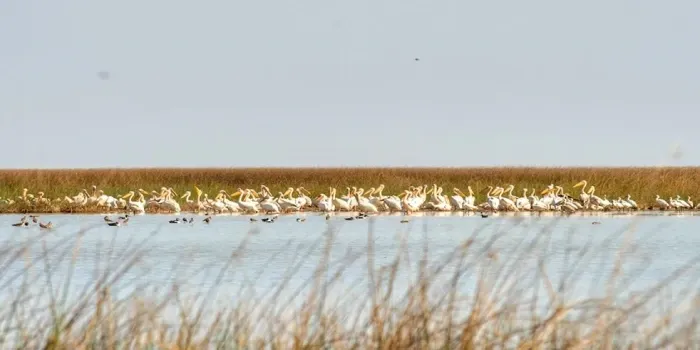 Chari-Dhand Wetland Conservation Reserve Bhuj tourist attraction