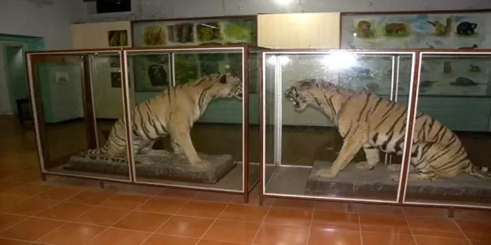Jim Corbett Museum