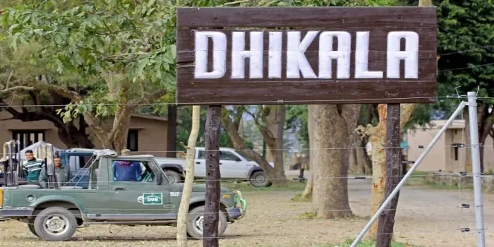 Dhikala Corbett national park