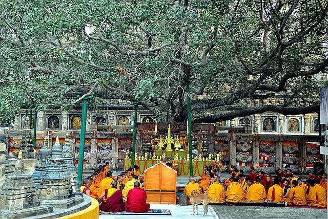 Kashi Bodhi Sangam Yatra 2026 tour package by Joy Vacanza