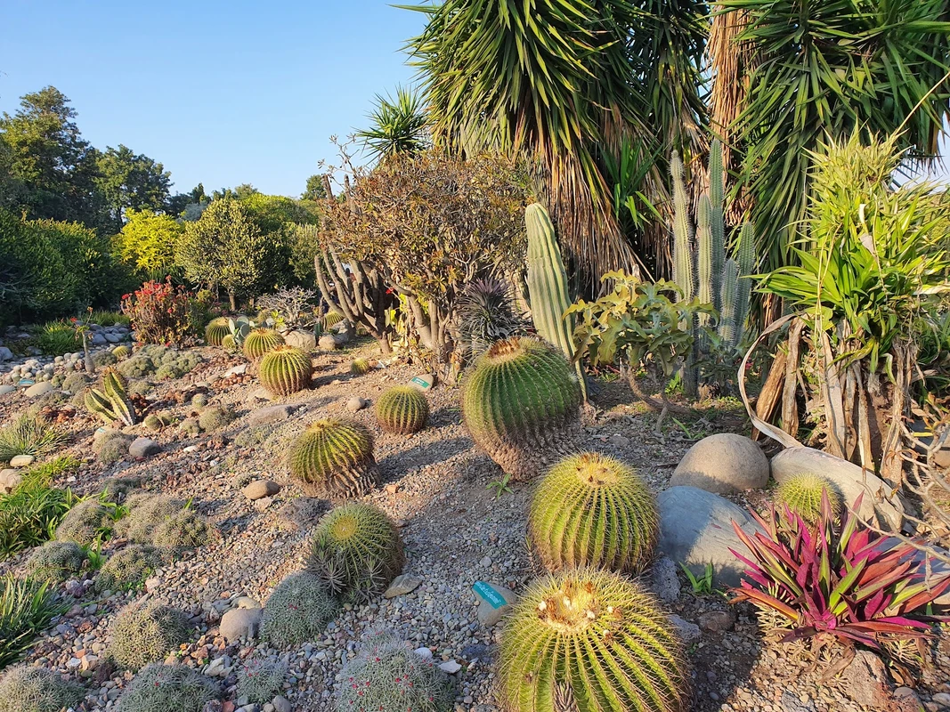 Cactus Garden Chandigarh tourist attraction