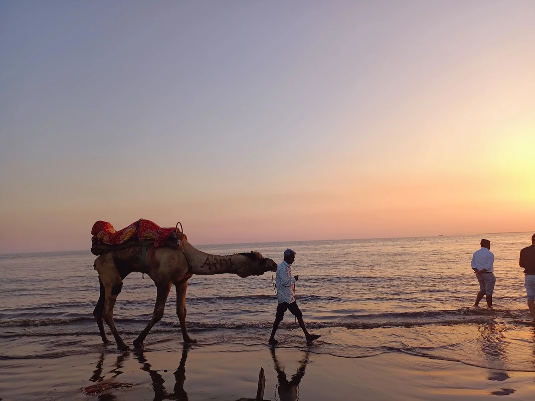 Dumas Beach Surat tourist attraction