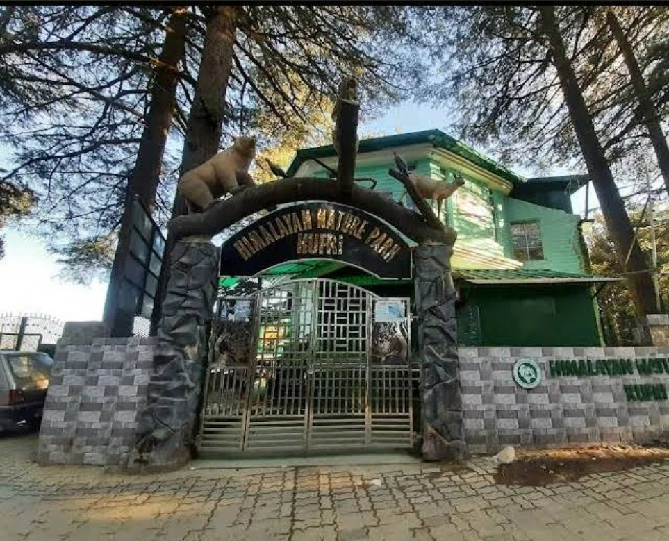 Himalayan Nature Park Kufri Zoo Shimla tourist attraction