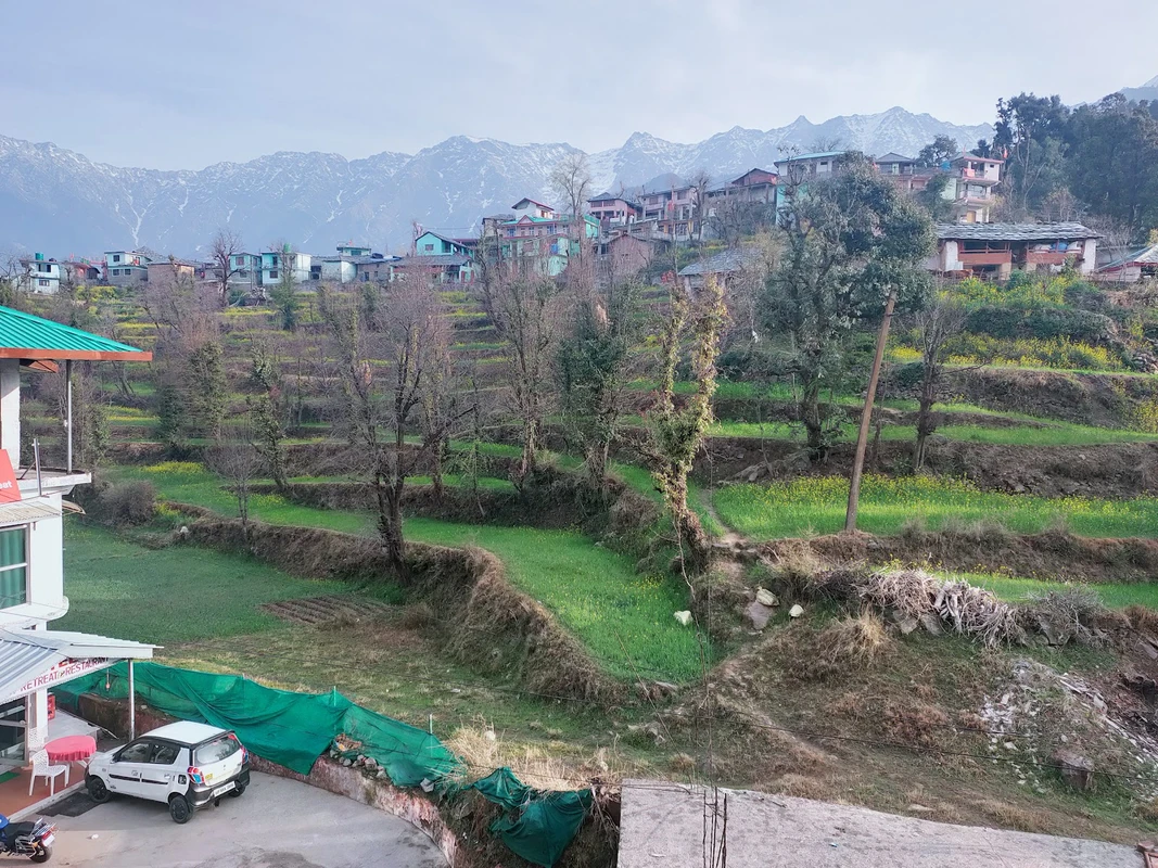 McLeod Ganj Dharamshala tourist attraction