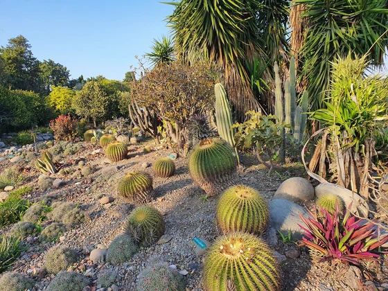 Cactus Garden Chandigarh tourist attraction