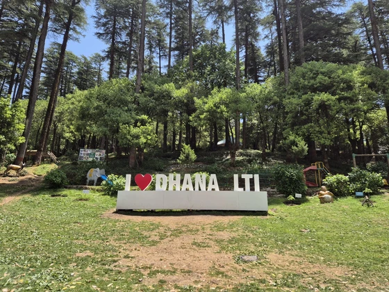 Dhanolti Eco Park Amber Mussoorie tourist attraction