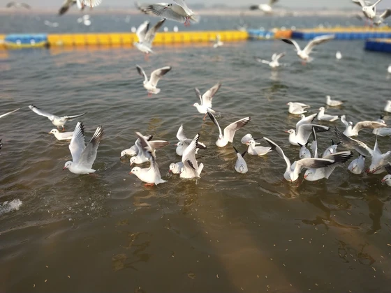Triveni Sangam Prayagraj darshan place