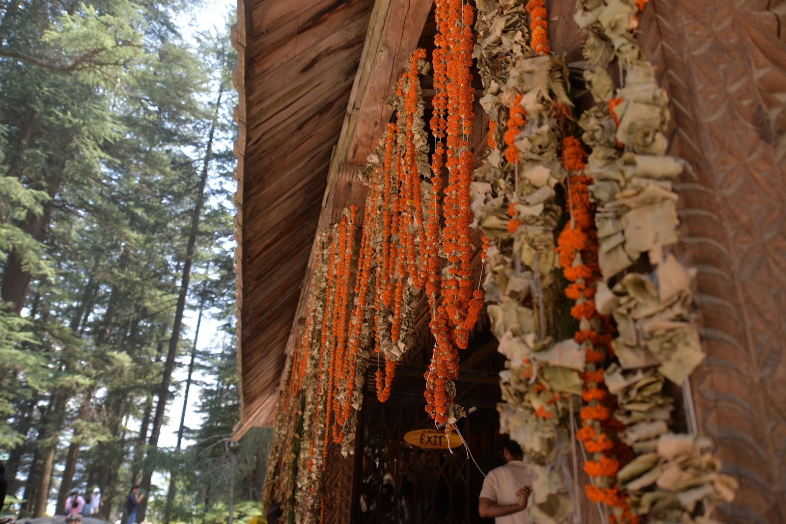 Hadimba temple sightseeing included in Heritage Himalaya Retreat 2026