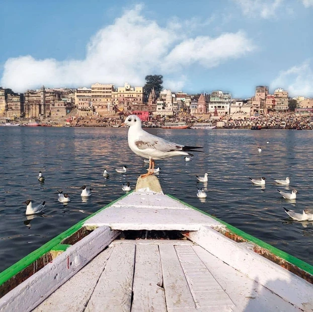 Assi Ghat photo 3 in Varanasi