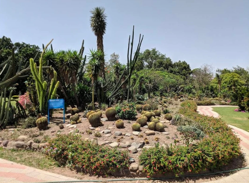 Cactus Garden photo 2 in Chandigarh