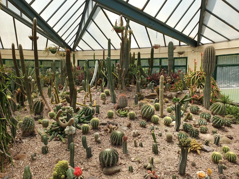 Cactus Garden photo 3 in Chandigarh
