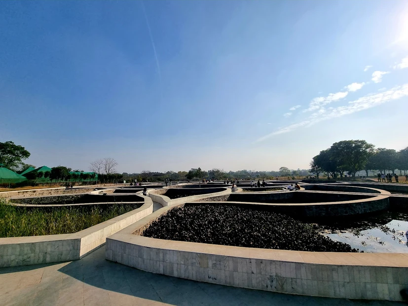 Chandigarh Botanical Garden Sarangpur photo 3 in Chandigarh