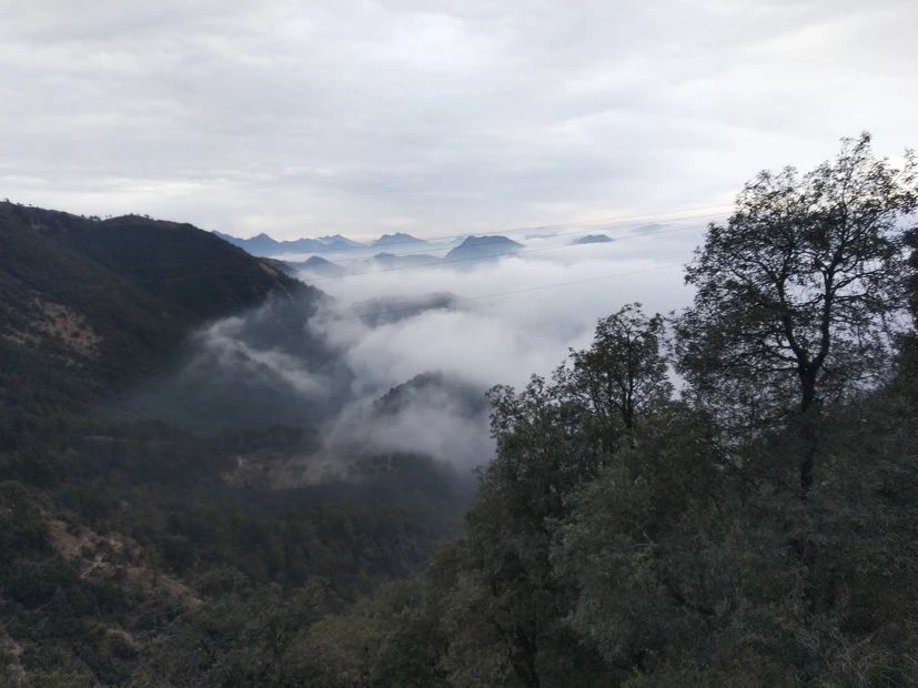 Dhanolti Eco Park Amber photo 3 in Mussoorie