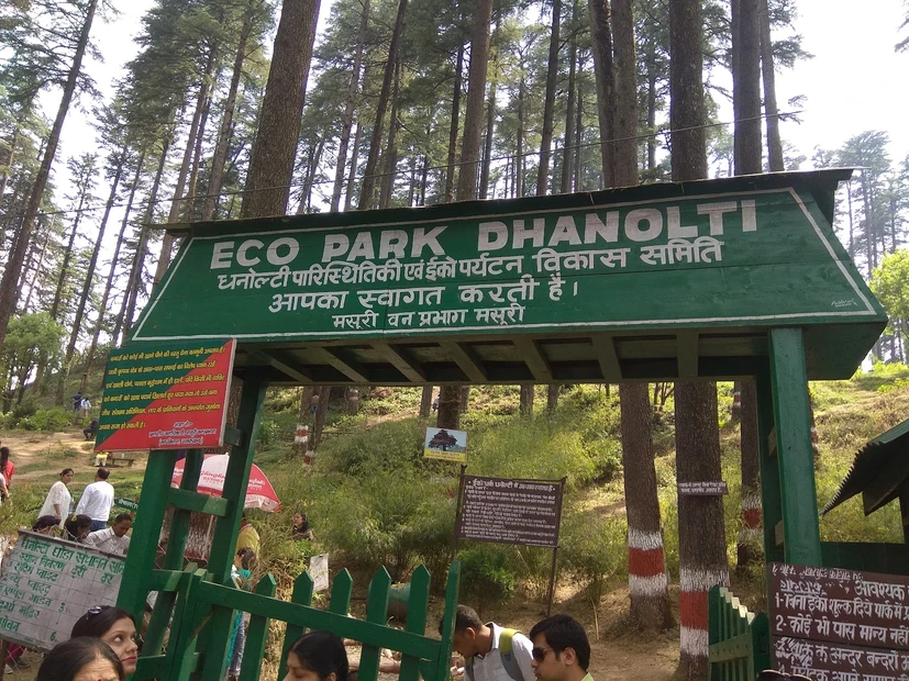 Dhanolti Eco Park Amber photo 4 in Mussoorie