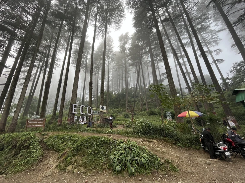 Dhanolti Eco Park Amber photo 5 in Mussoorie